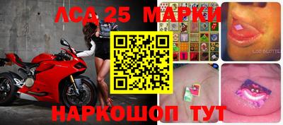 прущие грибы Кунгур