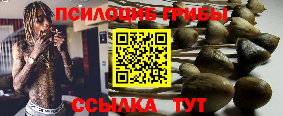 Псилоцибиновые грибы GOLDEN TEACHER  Вход с VPN  где можно купить наркотик  Ирбит 
